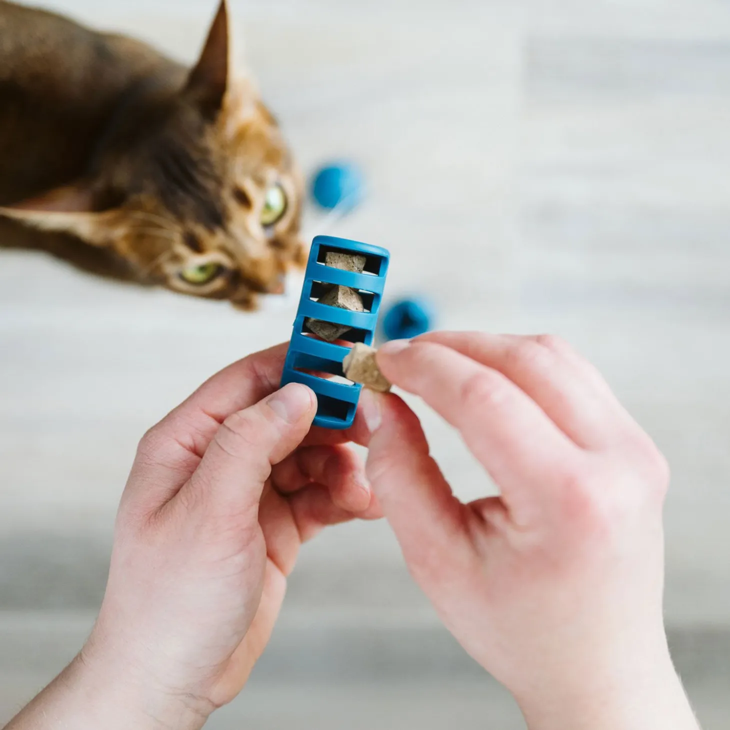 OBEE! Toy Trio for Cats