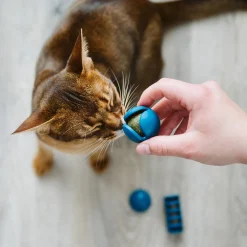 OBEE! Toy Trio for Cats