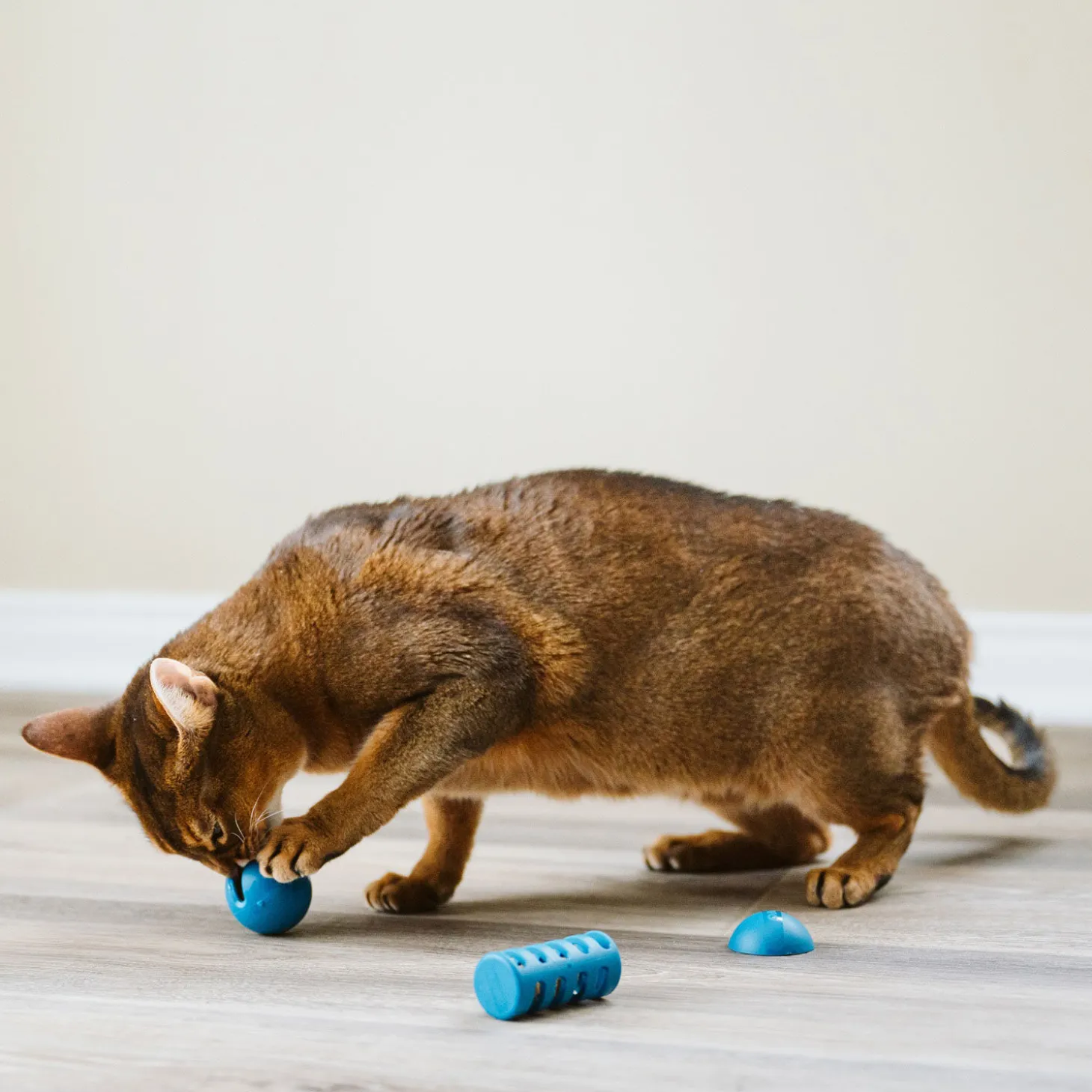 OBEE! Toy Trio for Cats