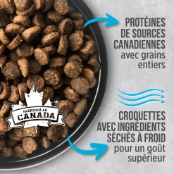 Ocean Fish Indoor Cat Dry Food Formula, 5 kg