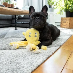 Octopus Dog Toy