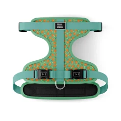 Ollie Orange Adjustable Dog Harness