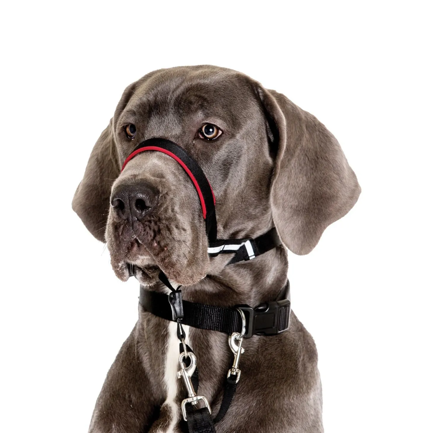 Optifit headcollar