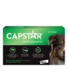 Oral Flea Treatment for Large Dogs, 11 - 57 kg, 6 pack