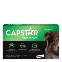 Oral Flea Treatment for Large Dogs, 11 - 57 kg, 6 pack