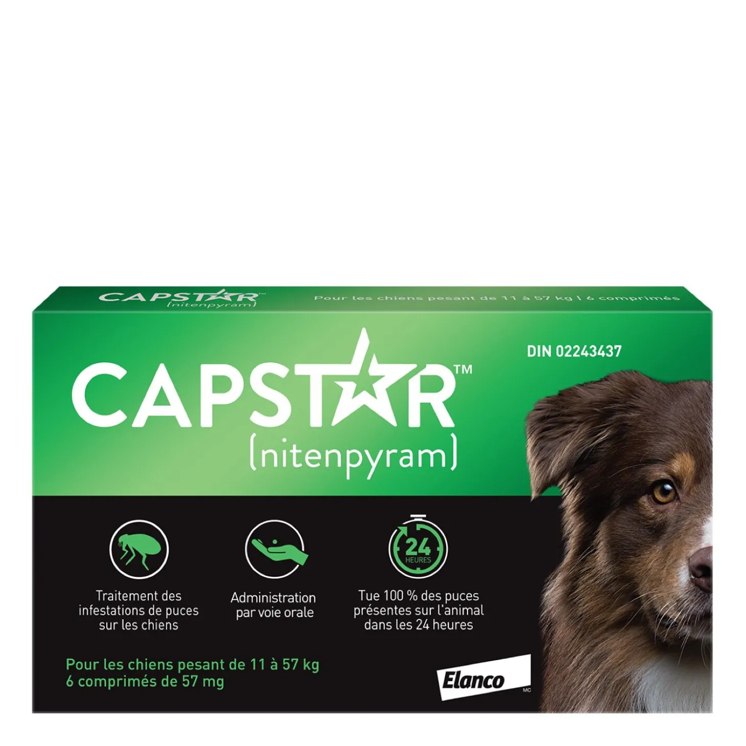 Oral Flea Treatment for Large Dogs, 11 - 57 kg, 6 pack