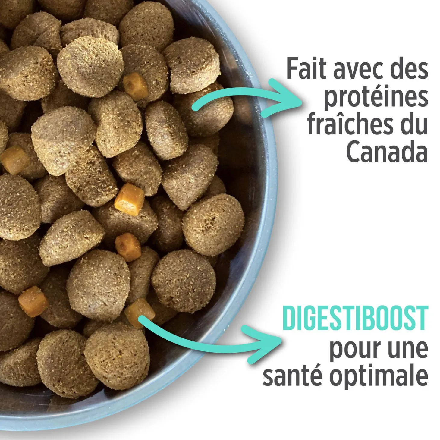 Oral Health Dry Food Formula for Dogs