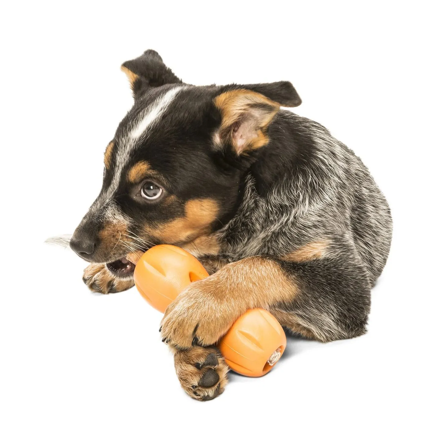 Orange Qwizl Treat Stick Dispenser Toy