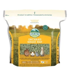 Orchard Grass Hay for Rodents