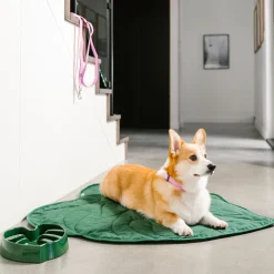 Orchid Silicone Dog Leash