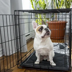 Orthopedic and Reversible Cage Bed, L