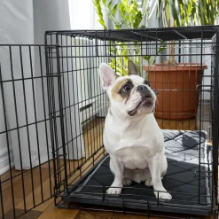 Orthopedic and Reversible Cage Bed, S