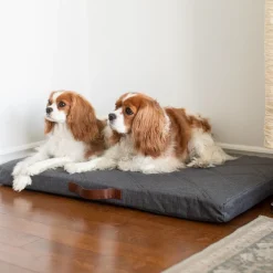 Orthopedic Hybrid Bed