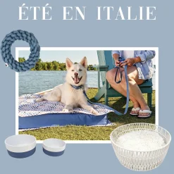 Outdoor Water Resistant Bed, Positano Tiles