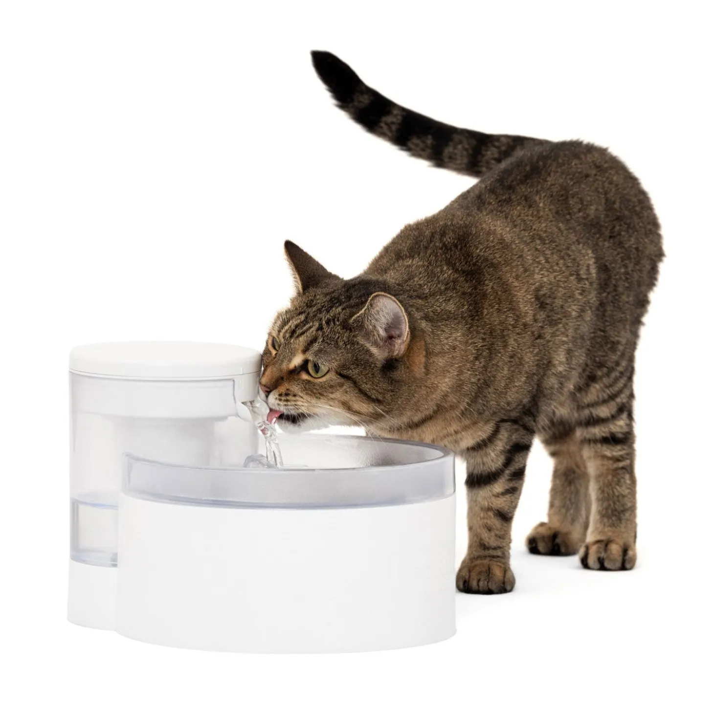Outlast™ Pumpless Water Fountain, 1.7 L