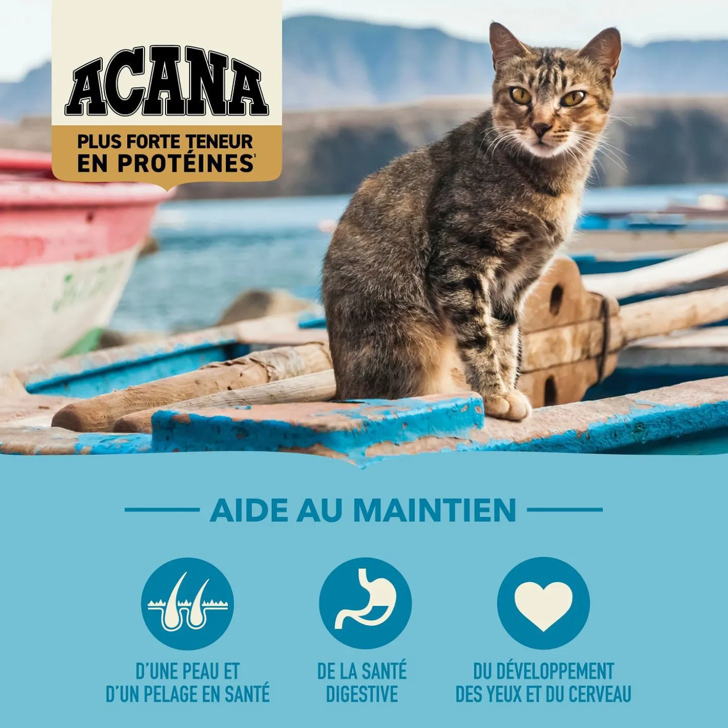Pacifica Highest Protein Dry Cat Food, 4,5 kg