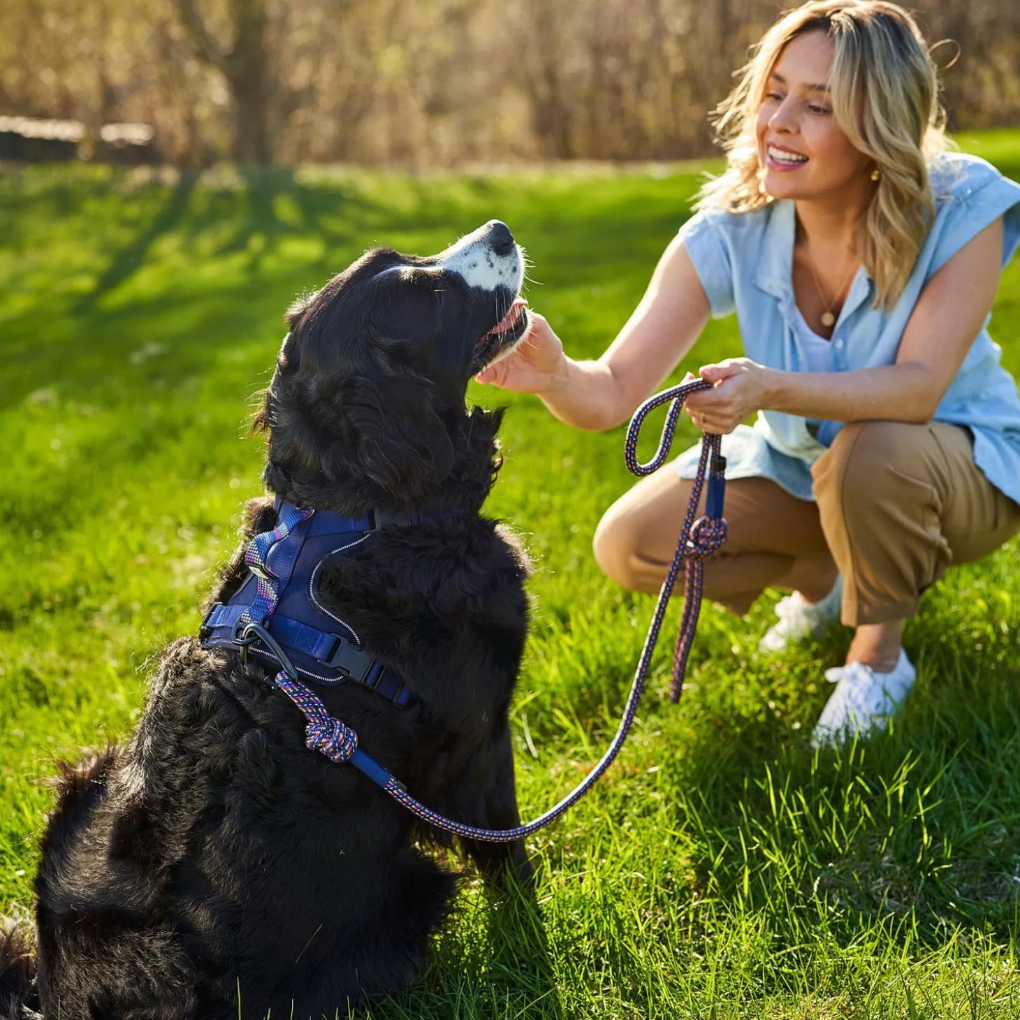 Padded Harness with Paracord for Dogs