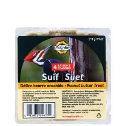 Peanut butter suet for birds