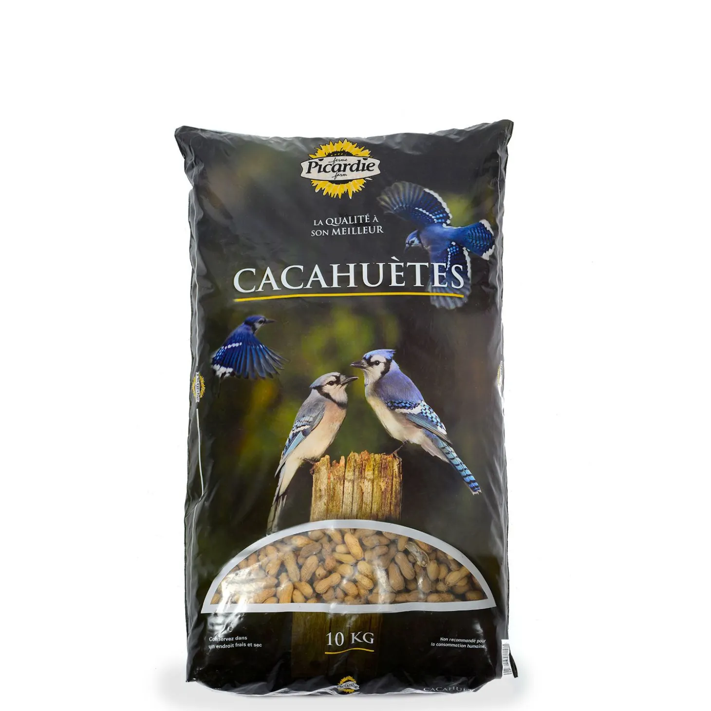 Peanuts with shells for wild birds