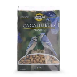 Peanuts with shells for wild birds