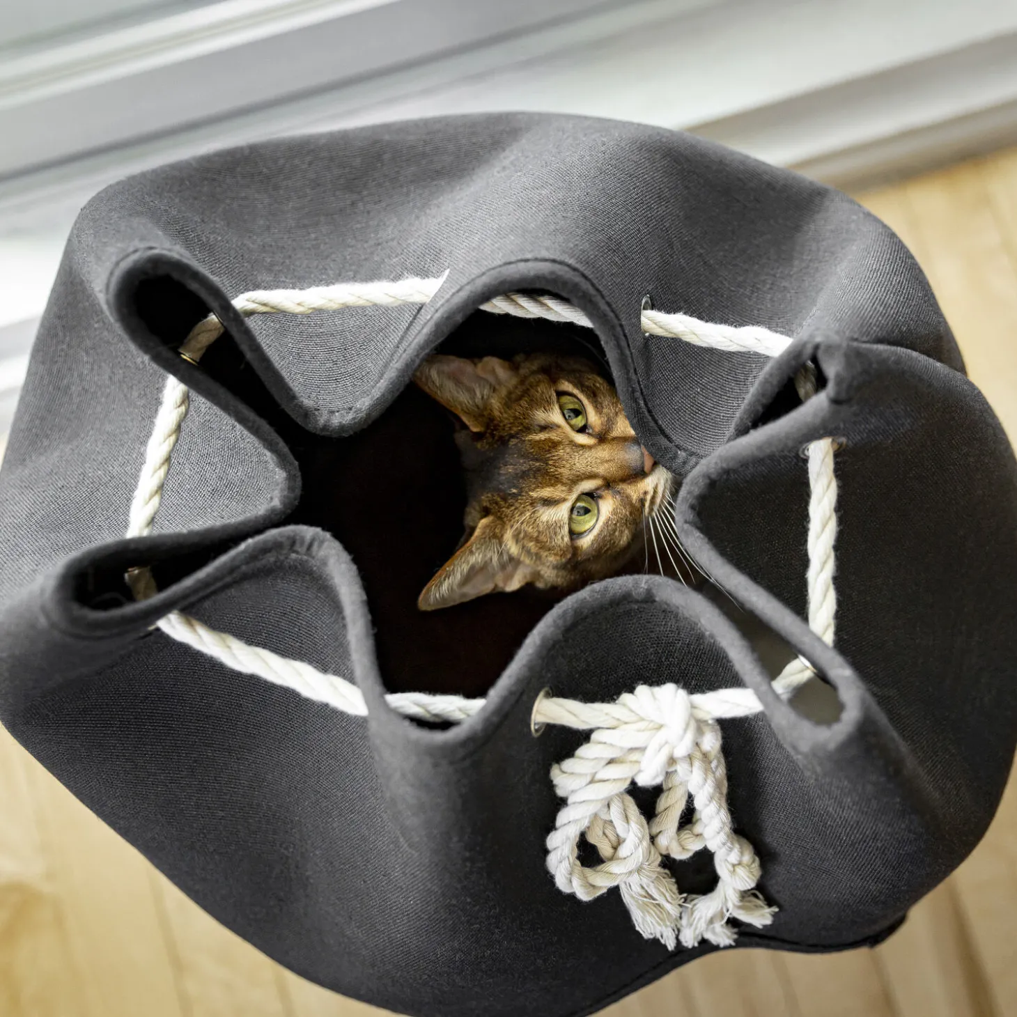 Pet Hideout