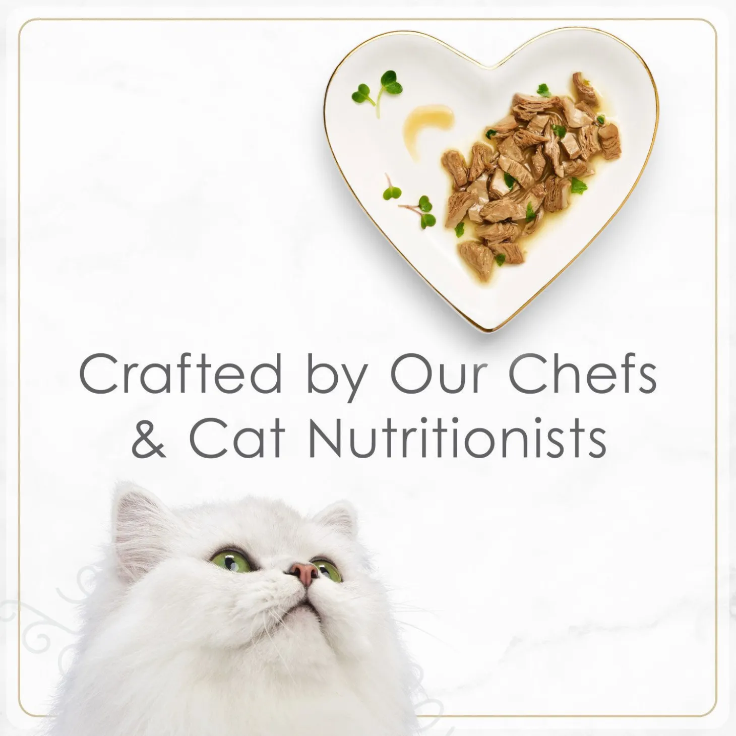 Petites wet food for cats, seared salmon and spinach