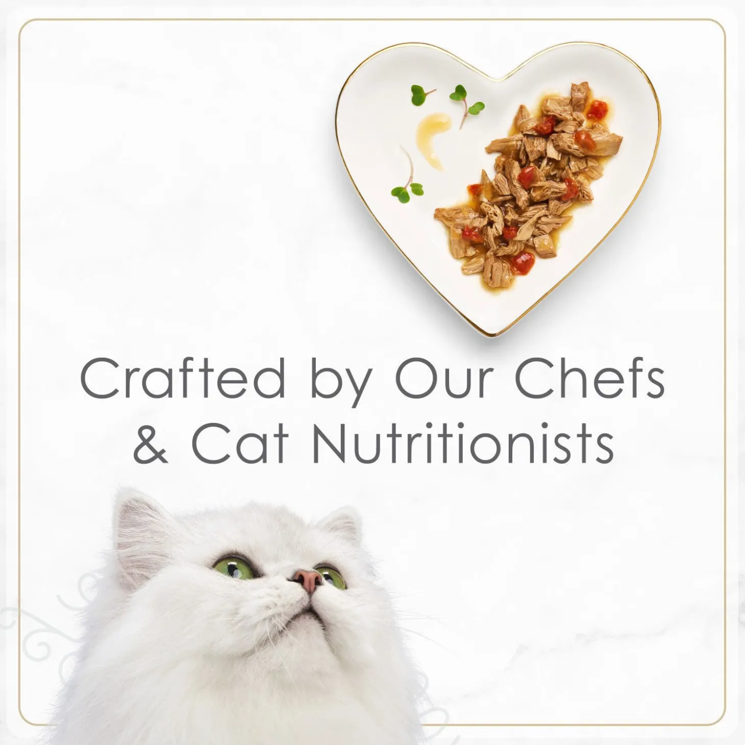 Petites wet food for cats, grilled chicken and rice