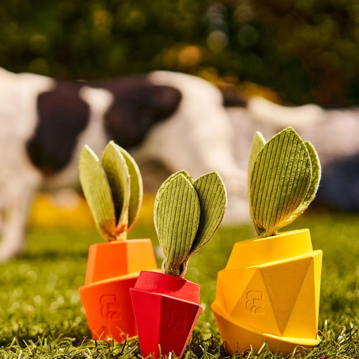 Pineapple Scented Dog Toy