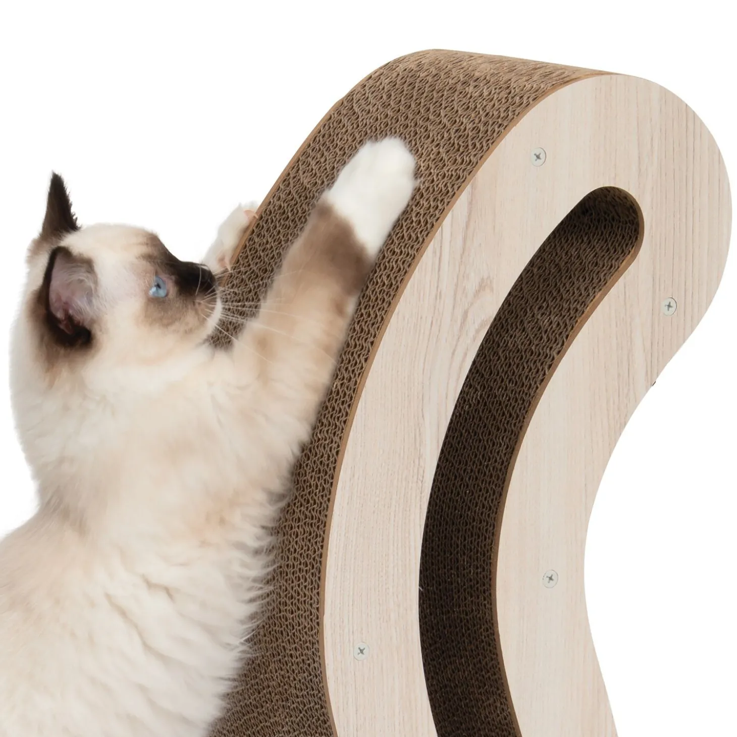 PIXI Scratcher, Cat Tail