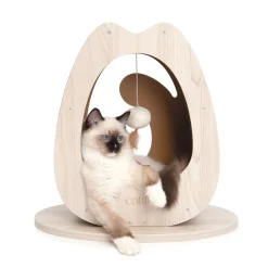 PIXI Scratcher, Wide
