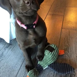Plush Duck with Squeaker Dog Toy