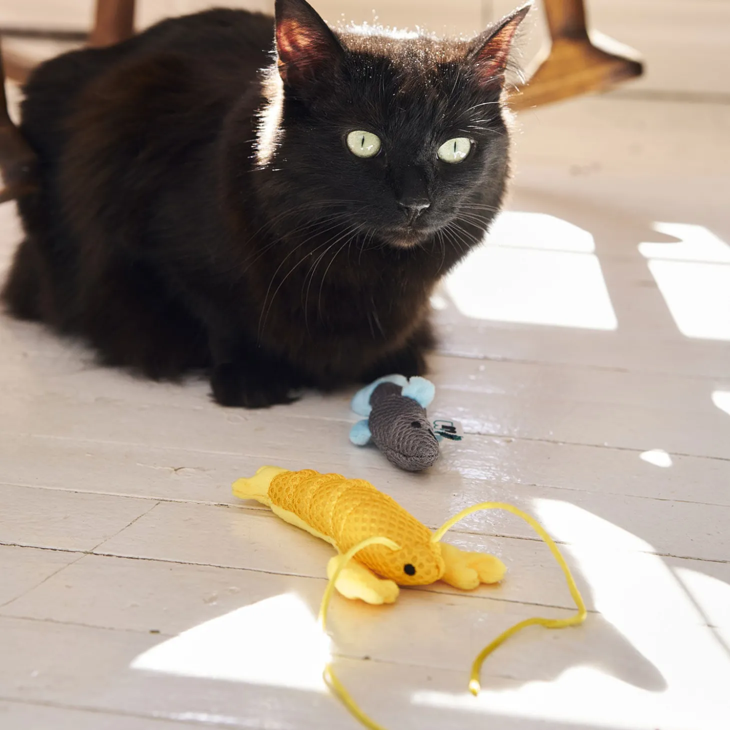 Plush Ocean Toy Trio for Cats