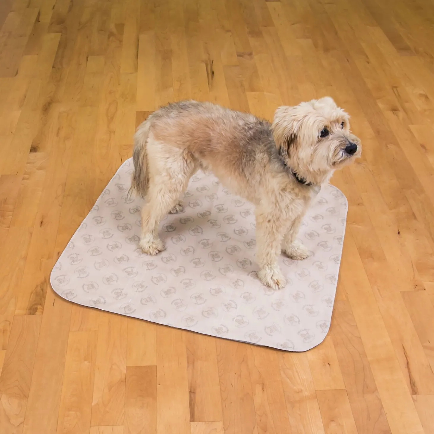 PoochPad Reusable Training Pads, 2-Pack