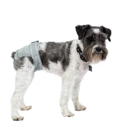 PoochPants Diaper for Dogs