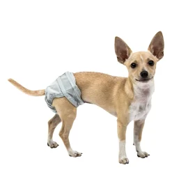 PoochPants Diaper for Dogs
