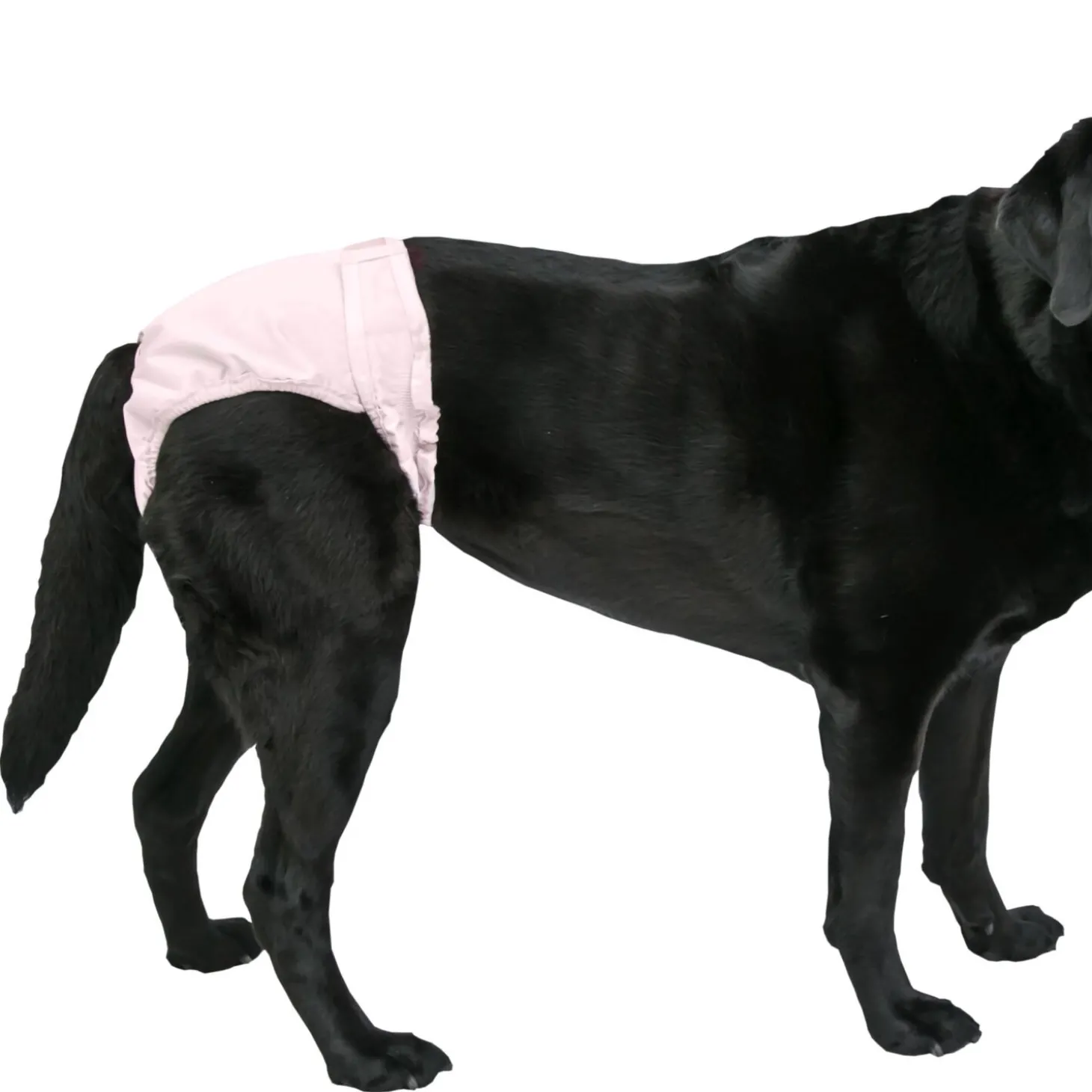 PoochPants™ Diaper for Dogs, XL