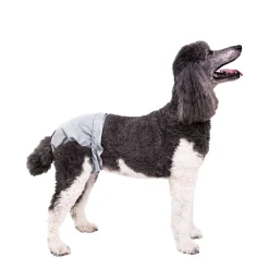 PoochPants Diaper for Dogs