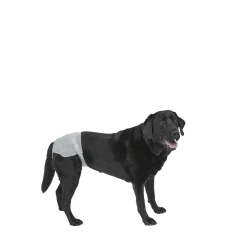 PoochPants Disposable Absorbent Diaper for Dogs, XL
