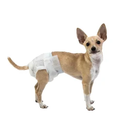 PoochPants Disposable Absorbent Diaper for Dogs, XS