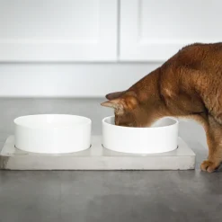 Porcelain bowls on concrete slab