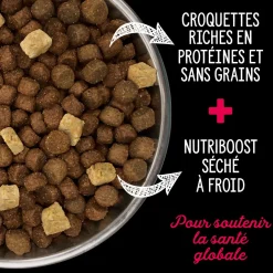 Prairie Red Dry Food for Small Breed Dogs