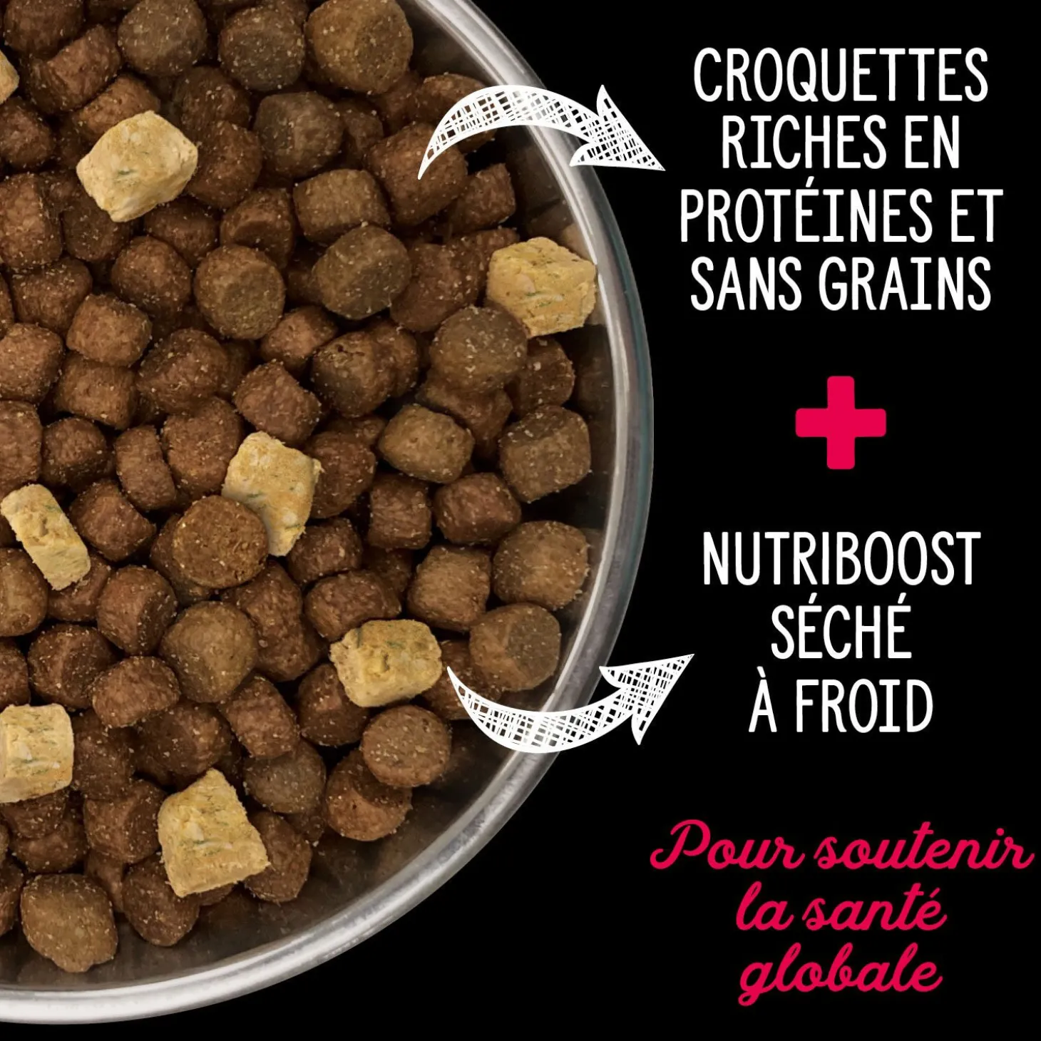 Prairie Red Dry Food for Small Breed Dogs
