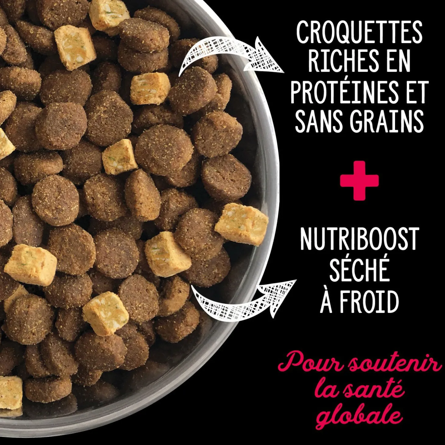 Prairie Red dry food for adult dogs
