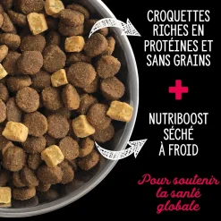 Prairie Red Dry Food for Dogs