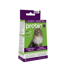 Pre & Probiotics for cats
