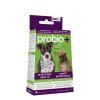 Prebiotics and probiotics for dogs