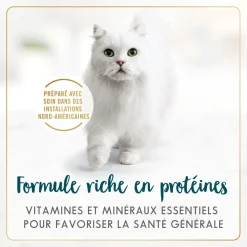 Pâté of salmon & shrimp wet food for adult cats