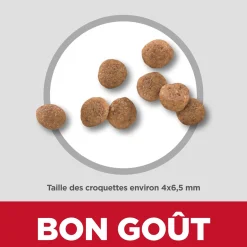 Puppy Small Paws Dry Chicken Meal, Barley & Brown Rice Dog Food, 2 kg