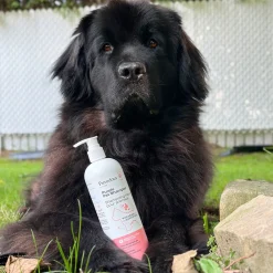 Purple Shampoo for Pets, 500 ml