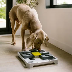 Push and Find Interactive Toy for Dogs